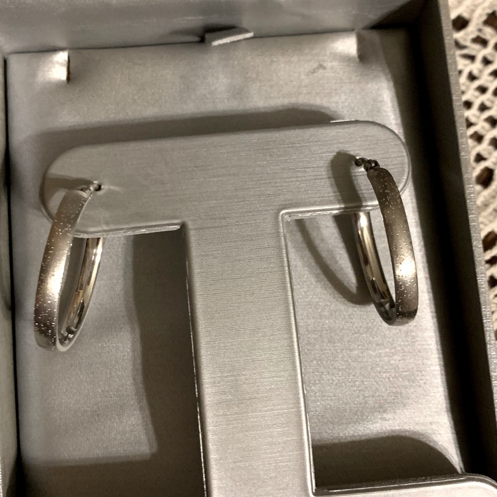 Zales Diamond crusted Hoop Earrings